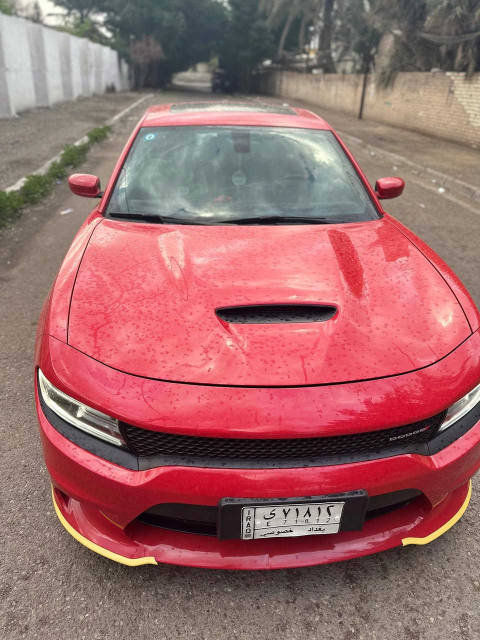 CHARGER GT - SUPER TRACK PAK .
جارجر GT . 
الموديل : 2021 . (خليجي وكالة هارلم ) . 
المحرك : V6.  3.6L . 
العداد 57 km
مكفولة 
المواصفات :
* شاشه كبيرة مع نظام ملاحة نفكيشن GPS .
* الشاشة مع اوپشنات SRT . 
* سستم صوت الپاين مع سماعات پريميوم .
* ويل RT قياس 20 انج . 
* فتحت سقف (سلايد) . 
* مقاعد جلد رياضية . 
* مقعد السائق كهربائي . 
* حساسات خلفية . 
* تشغيل عن بعد . 
* ستيرن كهربائي . 
* تدفئة ستيرن . 
* محدد سرعة . 
* تلفون بلوتوث . 
* كاميرا خلفية .
* مرايا متحسسة للاضاءة العالية .
* كير شفتر بالستيرن . 
* دخول ذكي (بصمة) .
* ⁠كامرة خلفية 
* ⁠كت كامل SRT
* ⁠المصابيح الامامية LED
* ⁠حساسات خلفية
* ⁠كير شفتر بالستيرن 
المكان صليخ ال 600     
***********
رقم الماني بغداد بأسمي السيارة تحويل اي وقت سنوية نافذة
سيارة مكفولة من جميع النواحي مكينة كير تبريد صدر اي شيء مكفول سيارة خاصة استخدام شخصي
تبديل دهن فلاتر تحديثات كلها داخل شركة هارلم
325 السعر
