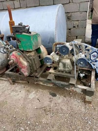 مولد هندي • ١٢ حصان • بعقوبه