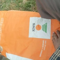 حنطة • بنت الجيس • فرشة المانيا