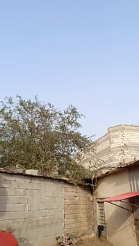 فراشه حربيه • ماكس • تايرات جدد