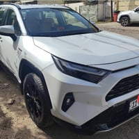 هايبرد • بلاك اديشن • رقم بغداد