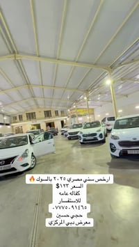 صني مصري • ٢٠٢٥ • ماشيه ١٧