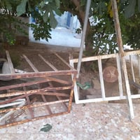 قفاص مكيف • عدد ٢ • جمعيه