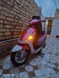 ماكس منغولي • أبيض • دوانيه