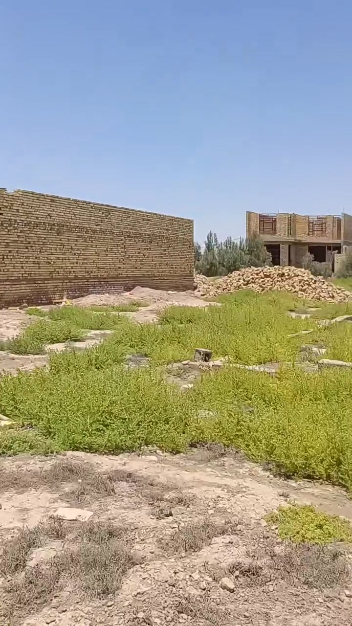 السلام عليكم قطعه 200ركن وجهه علشارع بصف مدرسه مكانه  بدايه لوافدين الستفسار الرقم ‏‪***********‬‏
