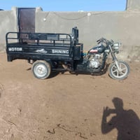 ستوته • مديل ٢٠١٨ • أوراق أصلية