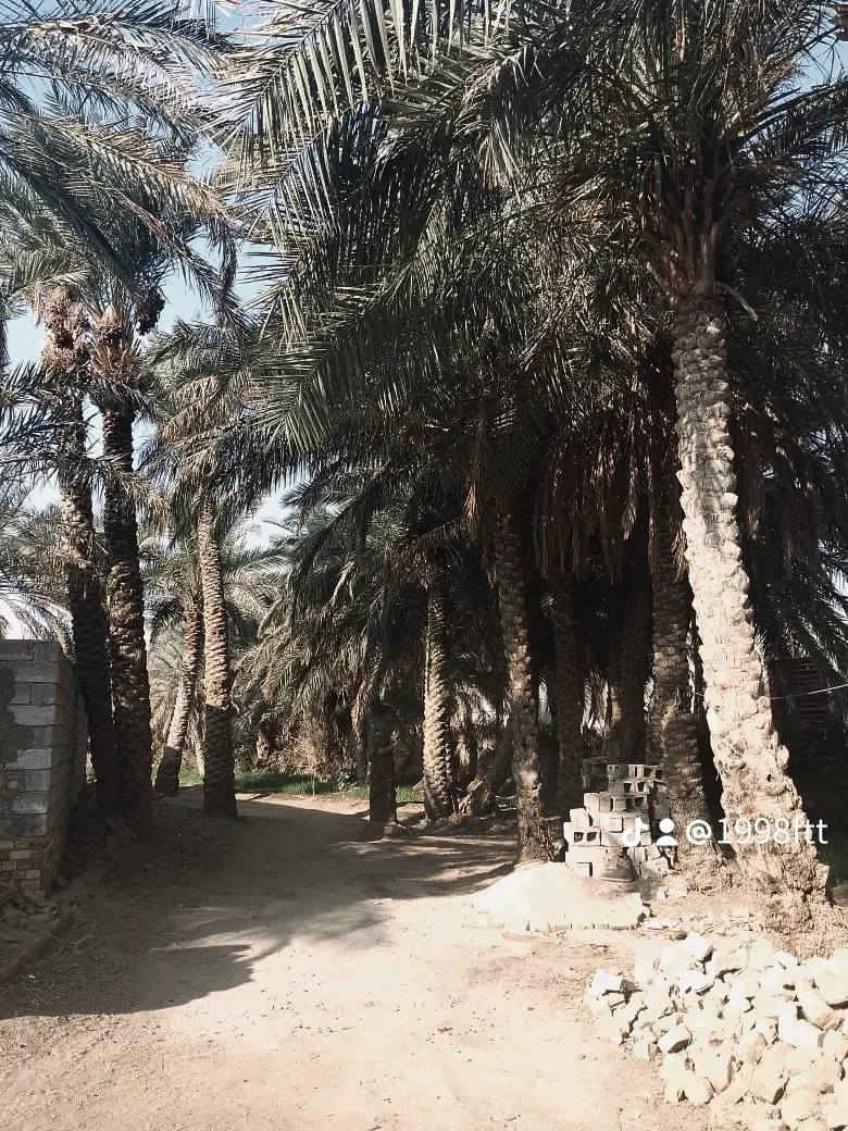 السلام عليكم بيت للبيع الحمزه الشرقي في منطقه السدير على طريق السياحي قريبه من الشارع على طريق السياحي يتكون من اربع غرف و30 نخله السعر ب 50 مليون‏‪***********‬‏
