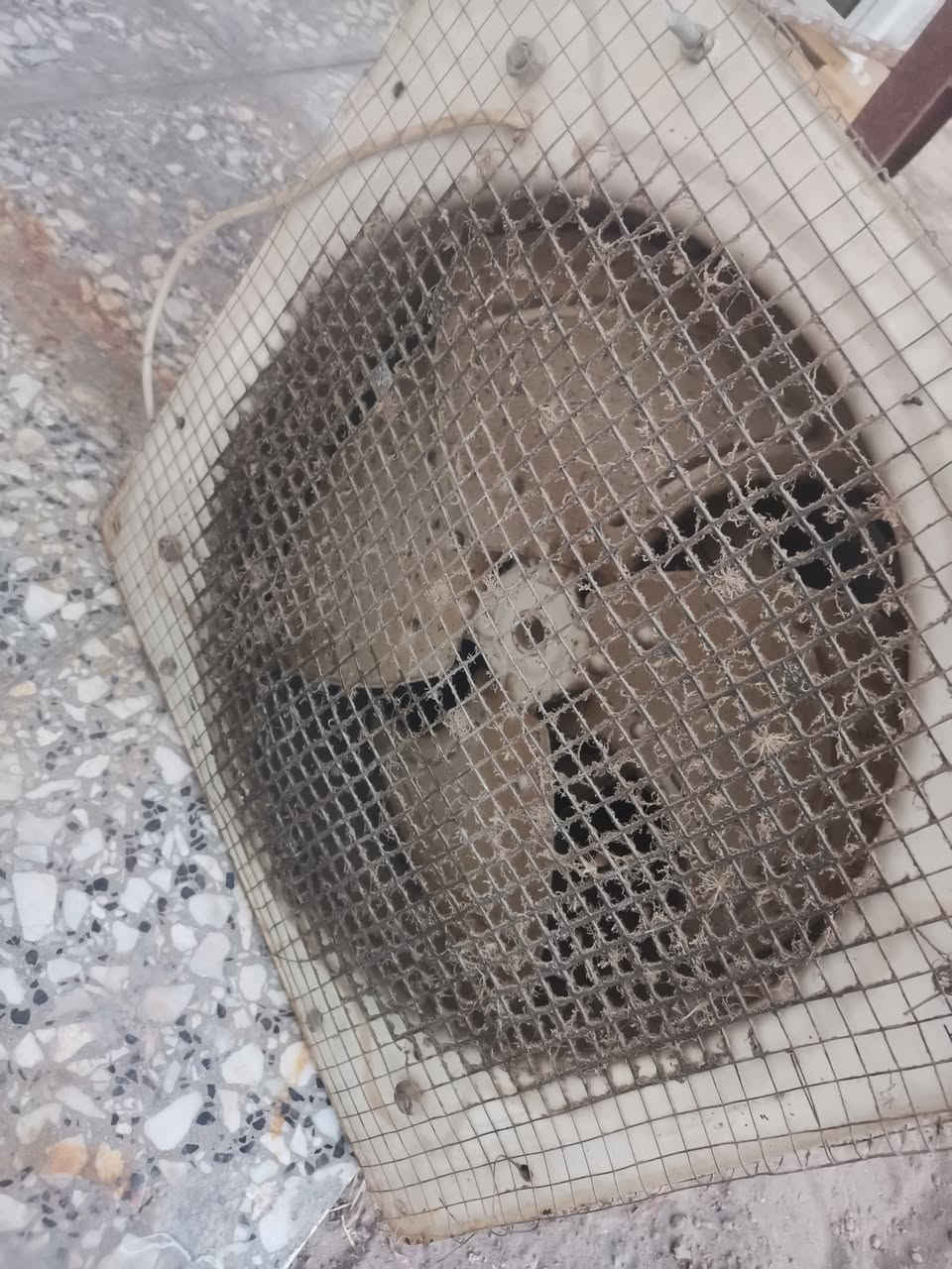 ممتواجد على الفيس للبيع سعر مناسب
للستفسار خابر وادالل
***********
