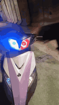 ثعلب 140 مكاني الدوره ***********
