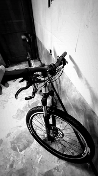 سلام عليكم بيسكل جبلي ماركة بولس الاماني 🇩🇪السرعه خلفيه 9 وأمامي 3   بيسكل جديد بريكات دهن تايرات جديده من معرض تيزاب WTP سعره 350 الف قفل قفل مكاني بغداد حي الحسن لايوجد توصيل رقمي ***********ويا قاعده عداد وعداد جديد ما مستخدم ما اتوقع تلكون هيج بيسكل بهذه سعر
