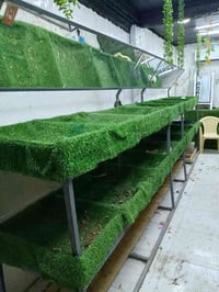 ميز محل مخضر وفواكه تفصال جديد استخدام شهرين  750 الف مجال قليل  07722...