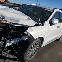 باليسايد كاليغرافي • ٢٠٢٤ • شحن من نيويورك