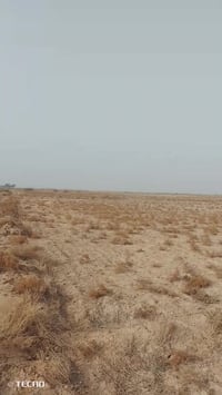 أرض عقد زراعي قانون 35 المساحه 105دونم للبيع ارض صالحه للزراعه يتوفر م...