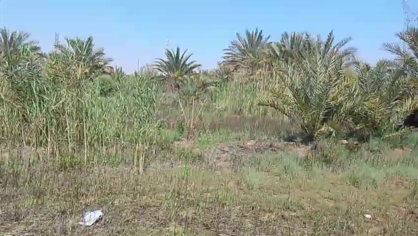 سلام عليكم بستان دوانم البيع نهروان قرية الرسول على شارع العام دوانم اتصال على الرقم
‭٠٧٨٦ ٨٣٢ ٣٢٤٩‬
