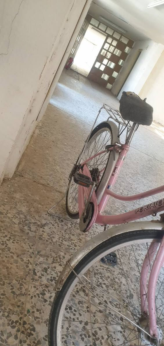 عليكم بايسكل بناتي حجم 26 كلشي بي كامل بس يرادله كشن واير وسيم خلفي والباقي كله يشتغل نضيف  امختم مديل 2012 المكان اليرموك اربع شوارع بغداد الرقم *********** متوفر واتساب بس ماعدي اتصال بس واتساب السعر 70 الف وبي مجال
