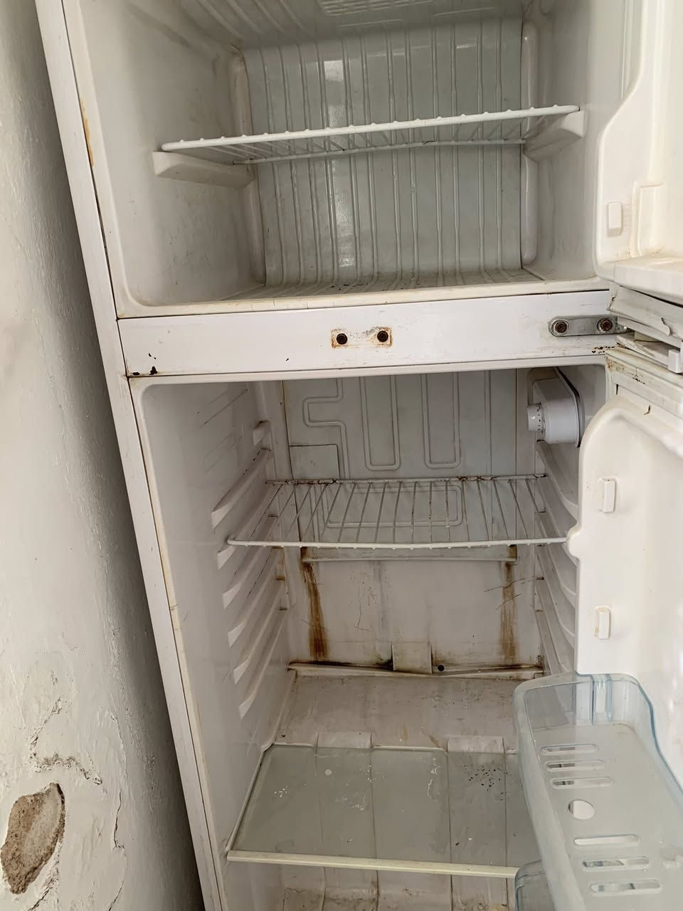 متاح ثلاجة ٩ قدم شغالة ١٠٠/١٠٠ تجميد وتبريد فقط يوجد صدأ بالسفل المكان الداوودي السعر ٥٠،٠٠٠ الف


**إذا كنت صاحب هذا الإعلان وتريد حذفه لأي سبب، رجاءا أرسل رسالة إلى الدعم الفني**