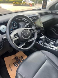 توسان • ٢٠٢٣ • دهوك