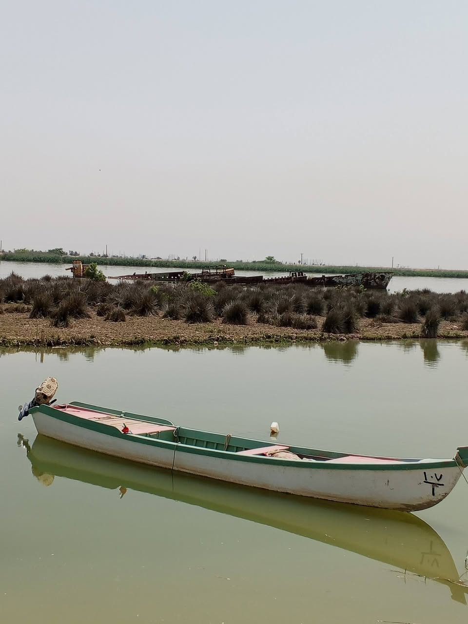 سلام عليكم بلم ومكين للبيع حلال جديد البلم وشار حيدر نايف وشار مرتب ابربع وجه والحطب كله سدر وقريب كلش يعني شغل الي بخاطرك مو. شغل سوكاوي الطول 15ذراع ومن جوه عرضهه متر وخمسه بلم جديد كلش زاد مكينه ياماها تلاثين اخذهه كارتون وماممشتغل بيهه شي بصيط شرط ياباني ألاصلي مكينه جديد كلش مكاني السيبه سيحان***********
