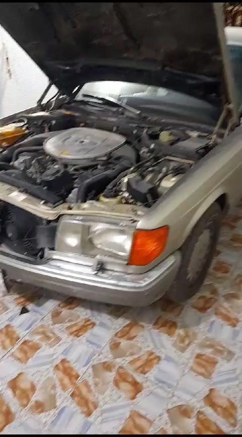 ٩١/ رئاسي للبيع رقم بصرة مال جناي
( ***********). عليه واتساب.
