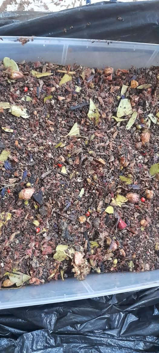 عود ميلانو للبخور والعطور يقدم لكم انواع الخشب البخور
نقدم لكم اجمل وأجود أنواع البخورات 

كل ما هو مميز و نادر و جميل ...

اصاله البخور تعبر عن نفسها ...

أجمل بخور تقدمه لبيتك ولنفسك ... 

بخورات وعطور تستحق الإقتناء...

للاستفسار والتواصل 

 ***********

واحذروا التقليد ❌
#عود ميلانو #للبخور والعطور 

يتواجد لدينا خدمة التوصيل لكل العراق  والمحافظات بسرعة عالية
