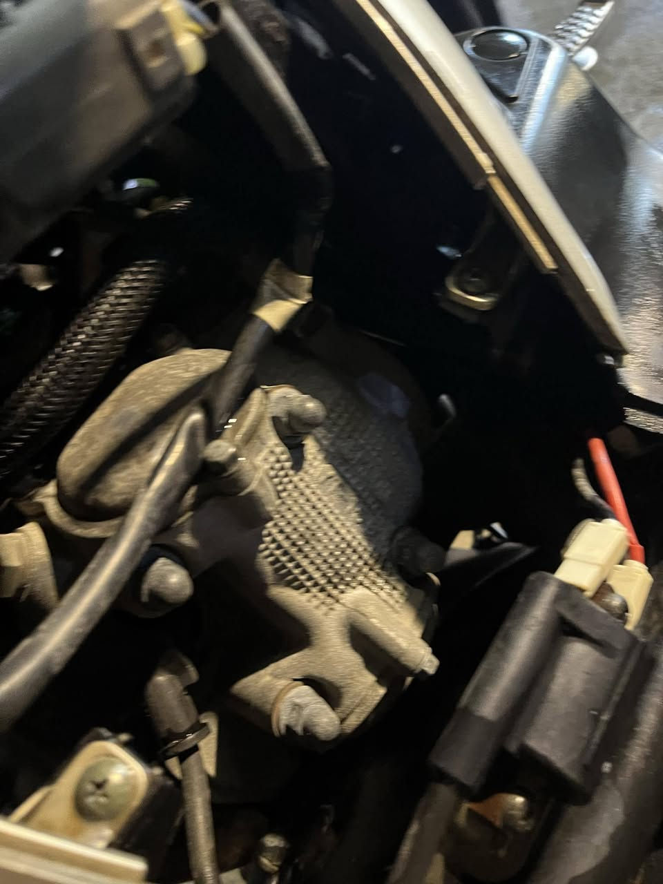 السلام عليكم 
سكنس فحل ياباني نوزل  الدراجه كفاله عامه برغي ممفتوح بيها شلعه معدل دراجه جديده ستاند حساس تدفأت يدات السعر ٩٥٠ وبيها مجال مكاني قرب جسر الدوار ***********
