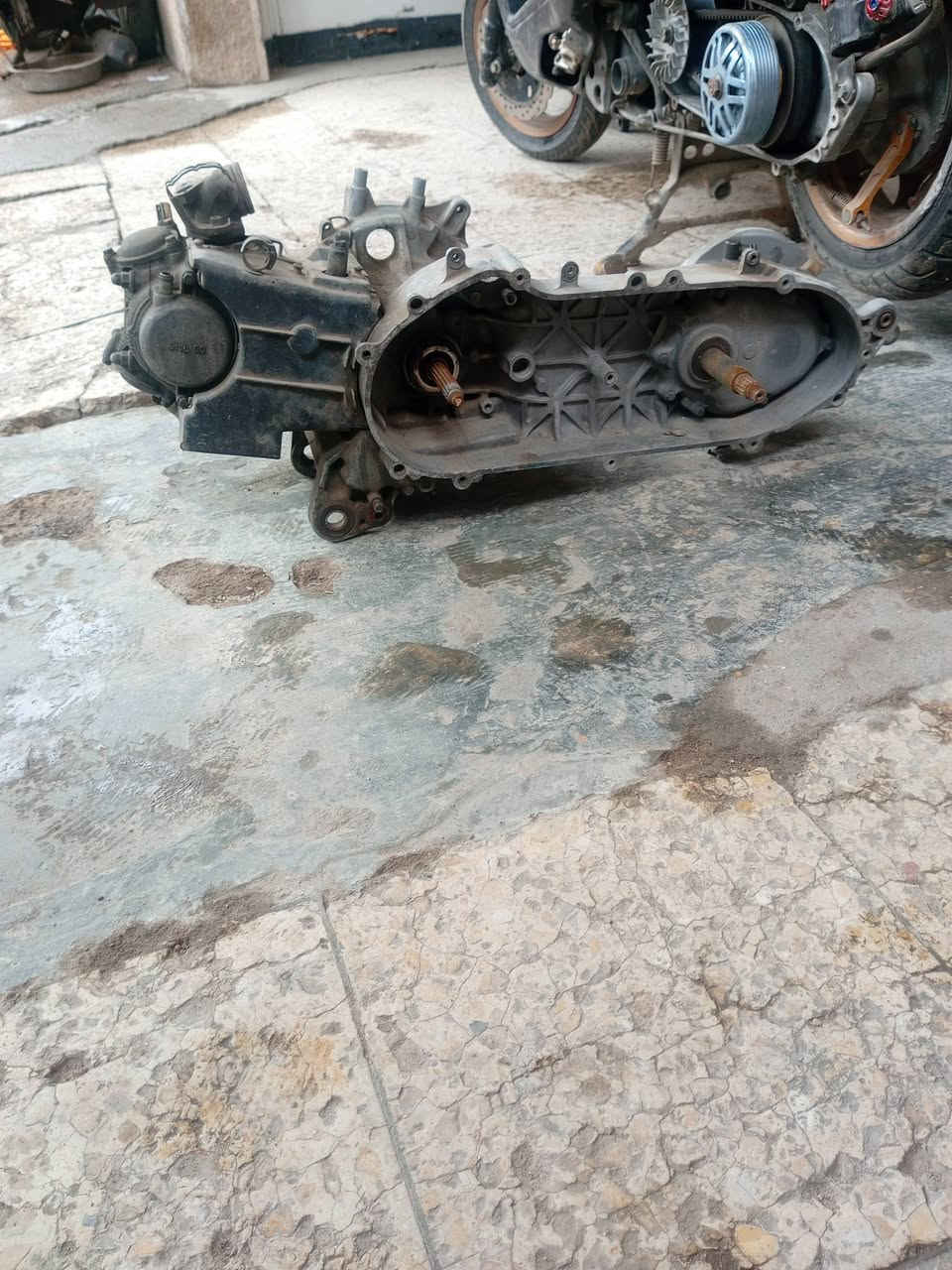 سلام عليكم فشكة سكنس جبلي بلاديه سعره 125 وبيه مجال شراي يتصل الرقم*********** مكاني بغداد الشعب
