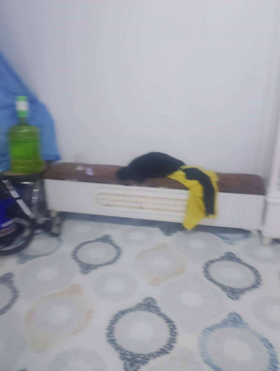 السلام عليكم
غرفه نوم تركيه للبيع بدون تخت
سعره ٤٠٠


**إذا كنت صاحب هذا الإعلان وتريد حذفه لأي سبب، رجاءا أرسل رسالة إلى الدعم الفني**