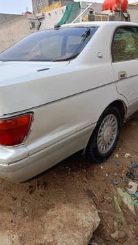 بطة • بابل • خاص