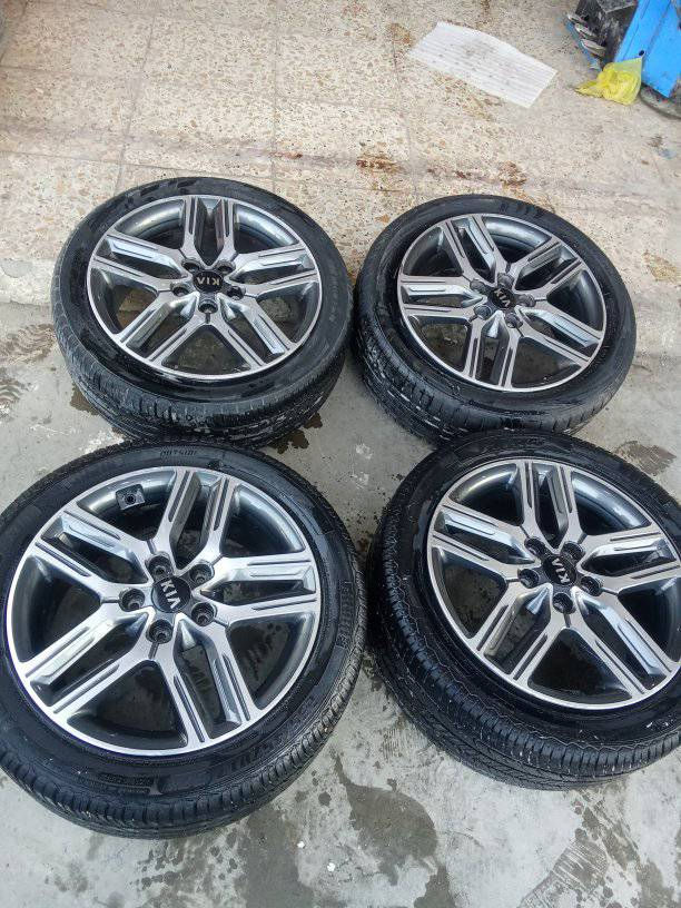 تخم ويل كب فورتي سيراتو أصلي شركة حجم مو 17مكفول من الفطر والحيم والتصليح العنوان بغداد الشعلة ***********
***********
