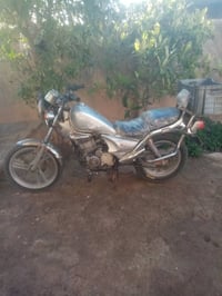 ماطور • ديلم • طويل