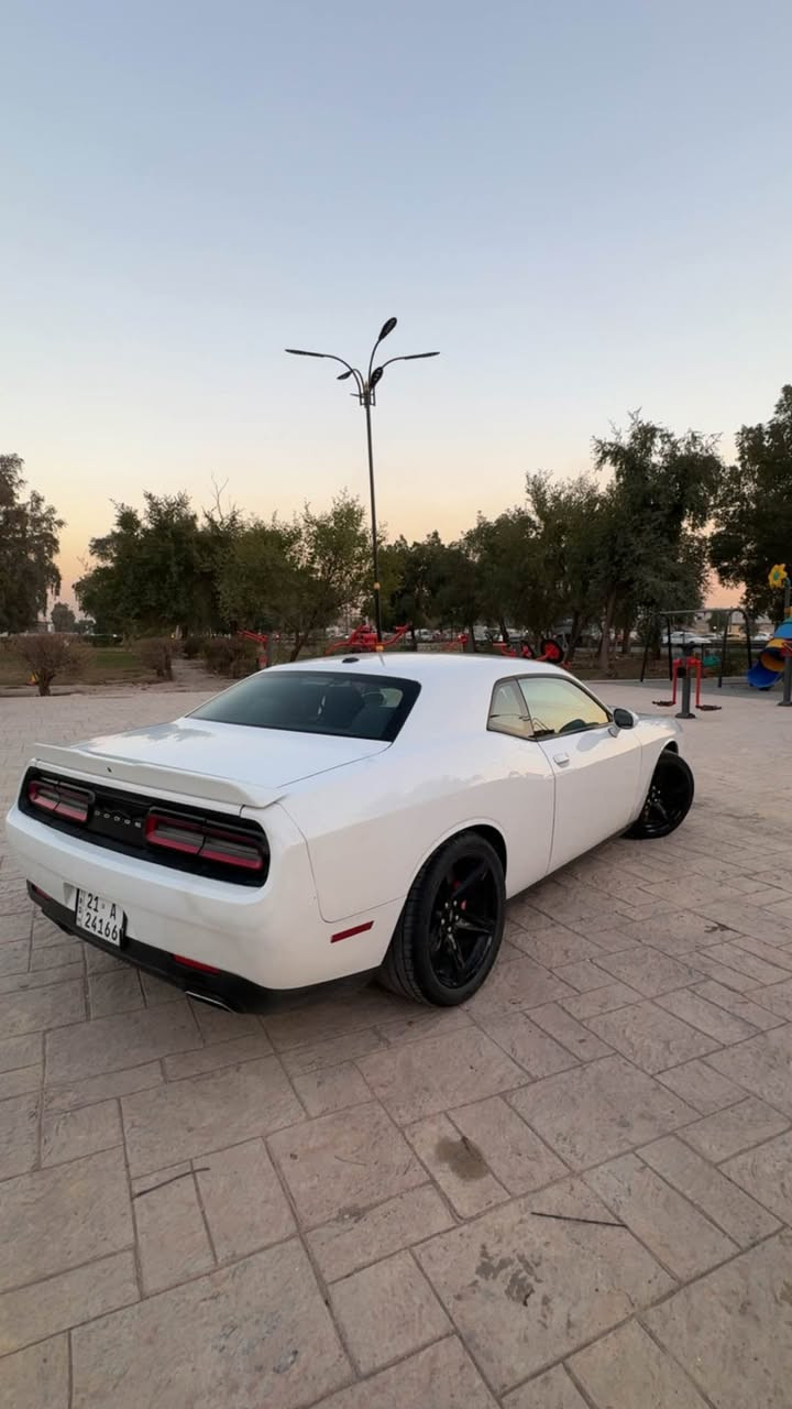 السلام عليكم
دودج جالنجر للبيع فقط بدون مراوس

من انظف الجالنجرات
السياره كلش نظيفه و تفيد الجناي 
ولا كلوب مشتغل بالدشبول
مابيهه ولا نقص برغي

موديل 2018 SXT
مواصفات SXT معروفه
شاشه وسط
تدعم ابل كاربلي و اندرويد اوتو
كامره و حساسات خلفيه
تدفئه بالمري
تدفئه بالمقاعد
كشن كهرباء
كشنات مخمل
كروز كونترول
سستم سماعات الباين
و بعد بيهه مواصفات ماذاكرهن

محركهه 3600cc يعني 6 سلندر
محرك كير كفاله
شاصي لغد كفاله

حادثهه طرف الجاملغ و طرف البنيد بدون شاصي
السياره نصبتهه احلى من الصور بهواي 
رقم سليمانيه بأسمي تحويل او وكاله
مكان السياره بغداد 
السعر ١٧٧$ وبي مجال
*********** بغداد, العراق
