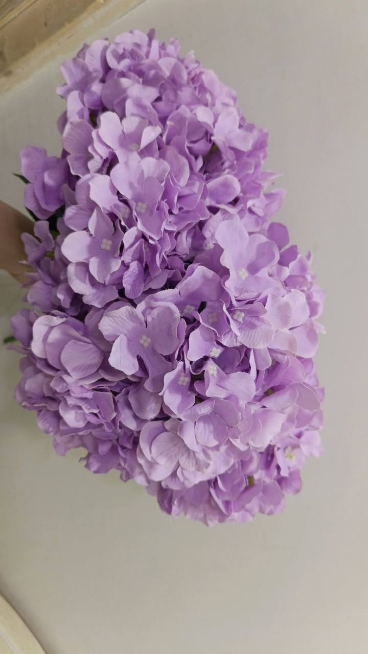 قرطاس حجم كبير كثيف بنفسجي فاتح وطوخ الغصن ب5 الف جديد الورق بي ورد غصن جوري الغصن 10 وردات ب5 الاف ورد عباد الشمس الغصن ب3 ورد اغصان عدد الوردة بالغصن 5 سعرة 3 ورد جلد النمر منفرد الوحدة ب3


**إذا كنت صاحب هذا الإعلان وتريد حذفه لأي سبب، رجاءا أرسل رسالة إلى الدعم الفني**