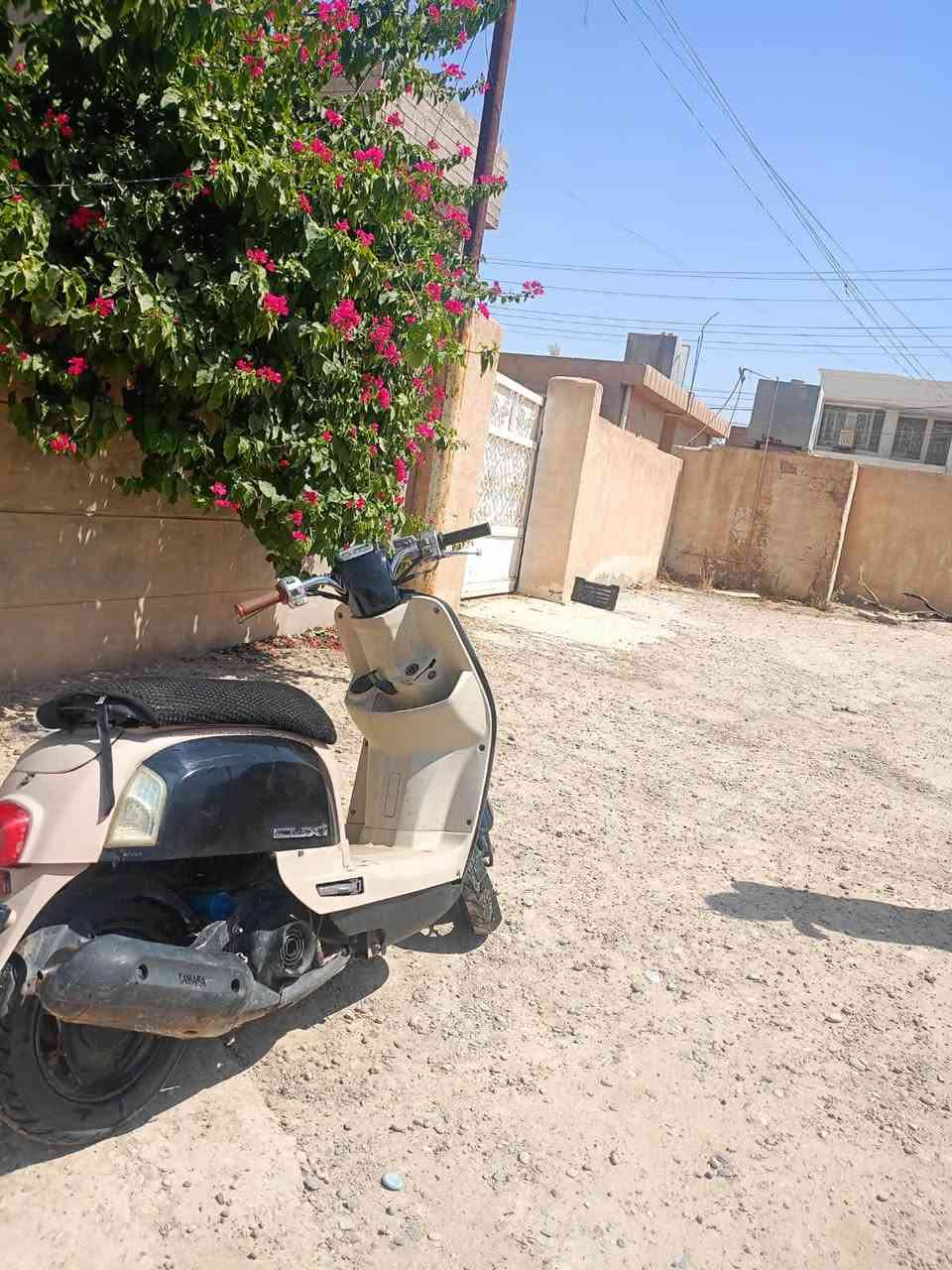 ‏سلام عليكم دراجة بوليس للبيعالسعر 625 ‏بيها مجال📞***********
