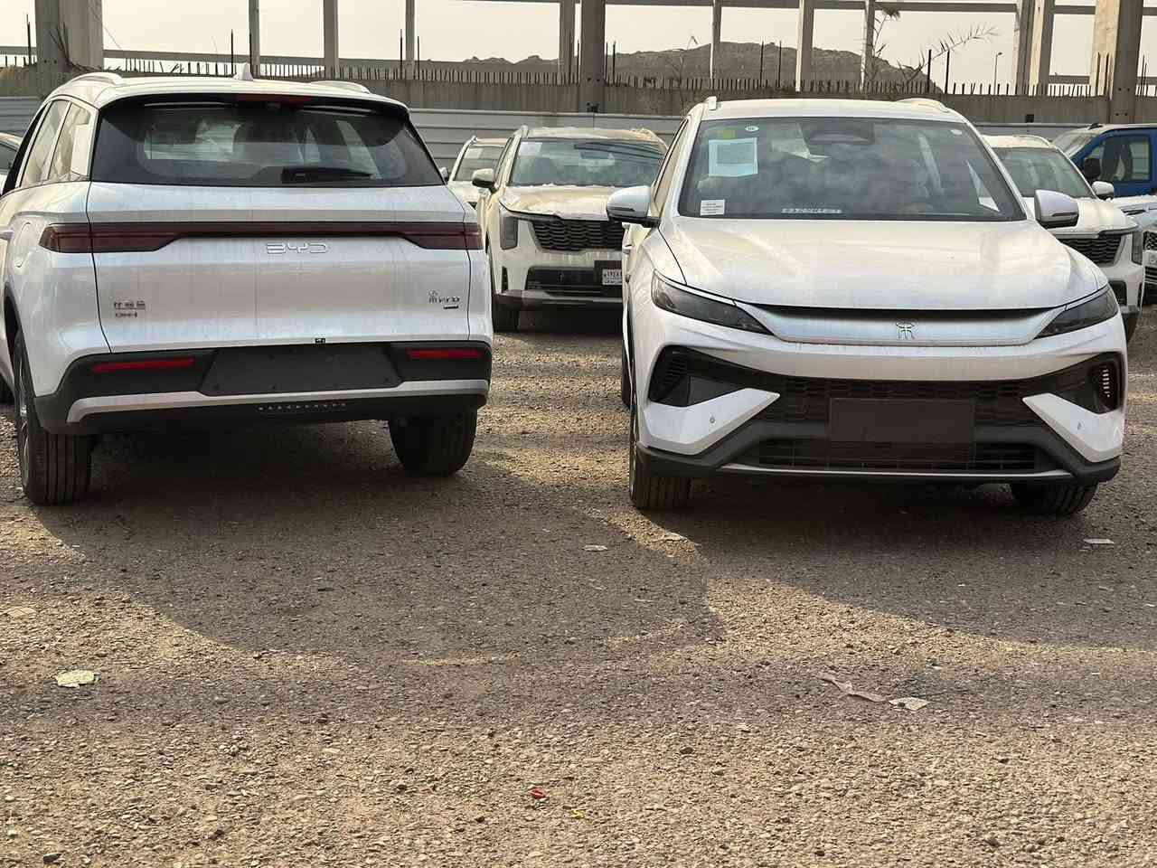 سونك برو مرقم ماشيه 4500 
فول مواصفات 
بانوراما 
كرسي كهرباء 
رادارات
مستشعرات الاجسام
١٣ كاميرا
الاسعار اتصل على الارقام المذكوره 
واتس اب او اتصال عادي 
للاستفسار 
 

اريزونا لبيع وشراء السيارات 
حي الاعلام مقابل علي فون
***********
***********
***********
