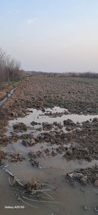 علسده • ٢ دونم • بير ماء وموطور