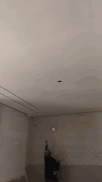 �السلام عليكم
متفرّغ للعمل جميع الديكورات✨
🔹 صبغ داخلي وخارجي
🔹عمل الفوم الخرجي وصبغ الواجات
🔹 صبغ وطلس الجبس بورد والبوردكس 
🔹 عمل بديل الخشب والرخام والشيبورد
🔹لتواصل على الواتساب او الخاص
📞***********
📍 مكان النجف الاشرف 
#صباغة_المنازل #صبغ
