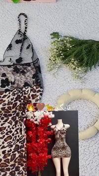 لانجري تايجر • مناسب ٦٠-٨٥كغ