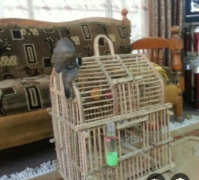 ‎للبيع‎


**إذا كنت صاحب هذا الإعلان وتريد حذفه لأي سبب، رجاءا أرسل رسالة إلى الدعم الفني**