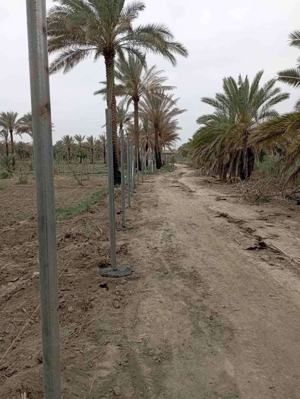 🟣تعلن شركة النهرين لعمل اسيجة ال brc والملاعب ⁦🟣
🔻عن عمل ونصب جميع انواع اسيجة الBRC ⁦⛏️⁩
🔴مستعدون لتجهيز كافه الملاعب 
🔻وعن عمل جميع انواع الاسيجة العشبية الجميلة 🍀🍀
🔻سعر المتر من 6الف 💸الى 10الف 💸حسب الطلب وحسب نوع السيم ⁦⚒️⁩
🔻يوجد كادر مختص بالعمل 💪
🔻نعمل في كافة محافظات العراق 🚛⁦🚛
🔻للطلب او الاستفسار قم بمراسلة البيج او اتصل على الارقام ⁦⬇️⁩
*********** 📲
*********** 📲
