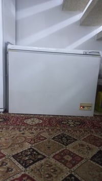 مجمده • شغالة • جبيره