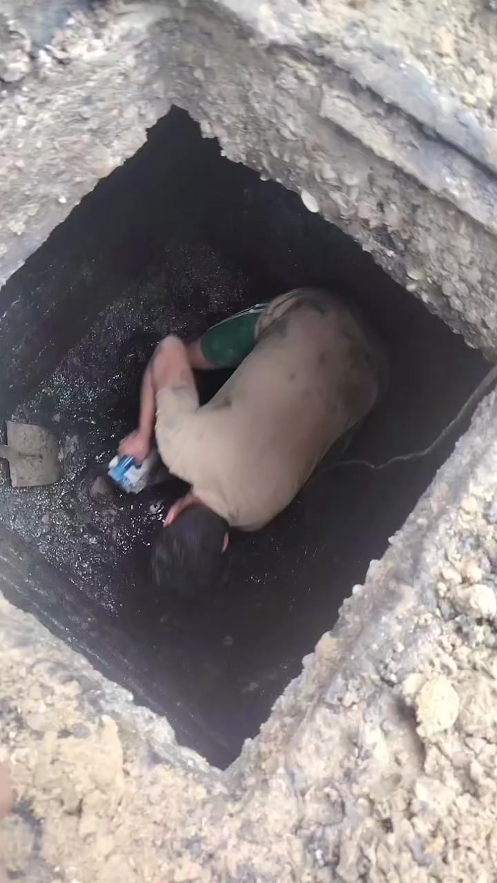 الشغل الزين يعني؟ ابو عسوله
*********** تنضيف بلاليع يعني الدرين وكطع
