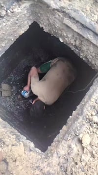 الشغل الزين يعني؟ ابو عسوله 07832232404 تنضيف بلاليع يعني الدرين وكطع