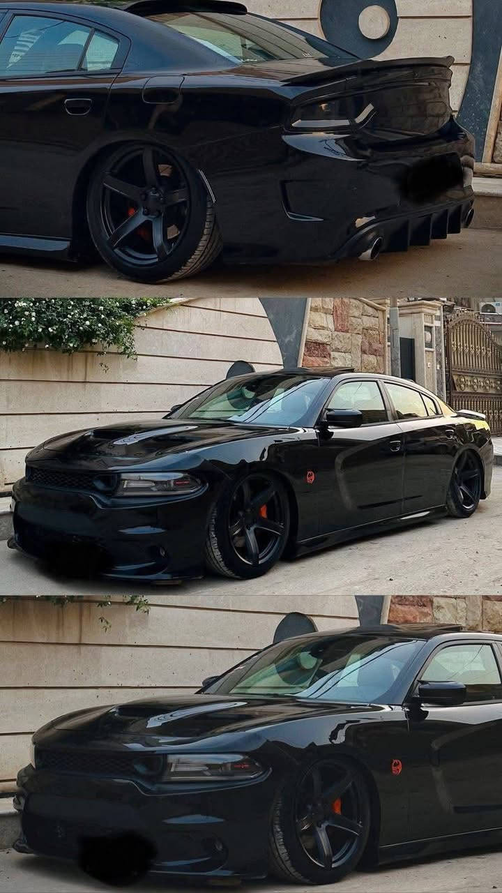 جاجر V8 2017

رقم بغداد.  هزة جديدة 

 

بدون ايرباك  شاصي ولغد دكت جاكوج مابي كفالة من كلشي وشرط الفحص كير مكينة برغي ممفتوح بيهن وشرط الفحص هم 

الحادث / طاك الويل وباب مبدلي لون  نفسه وجاملغ نفسه راجع وشوي  بارد  غيره ماكو حتى بنيد كفالة 

🦅المواصفات 1/1

فتحة 

كشنات كهرباء. فول تدفئة تبريد 

شاشة كاربلي 

وضعيات قيادة 4 بيها

سستم صوت بتس اقوى سستم صوت 

خزن ميمري 

وهواي مواصفات بعد 

💪

جكات S2  

هدرز ريسنك 

ميثانول. ستيج 3 

اكسل قفل 3.9

ثلاجة 6400

بوابات.  عمل علي الوادي 

فجوج برمبو 4

كزوز تفصال علي الوادي 

بلكات ريسنك 

فيتبم ولبرو جديد 

داخل تغطيس كاربون فايبر

نقوصات  علمود لا تكولون مكال ومذكر 

جامة يرادلها تبديل مفطره  

غيرهن ماكو ابد تفحص وين ميعجبك كلبي 

السعر.      194 💵💵

 فقط اتصال.  ***********
