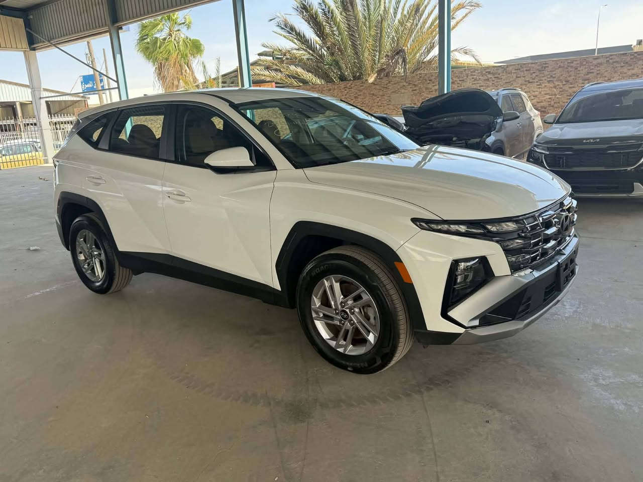HYUNDAI TUCSON 2025
بدون تبديل بدون دواخل بدون أيرباك 

🏁🏁🏁🏁🏁🏁🏁🏁🏁
⬜️◻️▫️⬜️◻️▫️⬜️
المسافة المقطوعة : 10000🚶
حجم المحرك:  2.5💪🏻
عدد الاسطوانات : 4 سلندر
اللون : ابيض صبغ أقل ربع جنطه 
باقي كفاله ليبر واحد 
🏁🏁🏁🏁🏁🏁🏁🏁🏁
⬜️◻️▫️⬜️◻️▫️⬜️
🚗🚗🚗🚗🚗🚗🚗
🚗🚗🚗🚗🚗🚗🚗
الإضافات : 
بصمة تشغيل  👈🏻
دفع رباعي 💪💪
اوتو هولد 🅰️
هاند بريك بصمة 
رادار أمامي 🚨
مانع تصادم  ⚠️
نقطة عمياء 🚨
إضاءة LED💡
ويل كب 🛞
شاشة تحكم لمس📺
اندرويد اوتو🤖
ابل كار بلاي🍏
خرائط 🗺️🧭
دخول ذكي🚪
***********

مكان السيارة بابل 
 |

