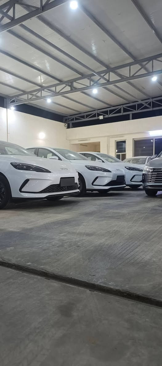 متوفر سيارات البيع بالتقسيط فقط
وصل الجديد وصل 
بدون كفيل استلام فوري نفس الحظة 
بنظام الاقساط الداخلي يعني داخل الشركة تسدد الاقساط 

ملاحظة البيع فقط بغداد 
بغداد فقط 
بغداد فقط 
بغداد فقط 

وكل المحافظات ع راسي 
بيوايدي زيروه استلام شركه 25 بمقدمه 65 ورقه 
القسط الشهري 450 الف 

للاستفسار اكثر الاتصال ع الرقم التالي
***********
