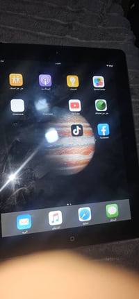 ابل • البيع مكاني • منصور