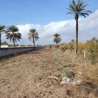 صلاح الدين قضاء بلد • دونم زراعي • طابو زراعي