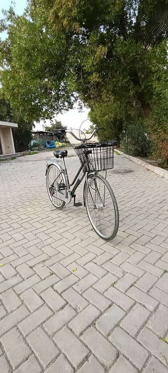 حجم 27
متصرف عليه فلس 
جاهز.. الزعفرانيه
ب 75 وبه مجال
***********
