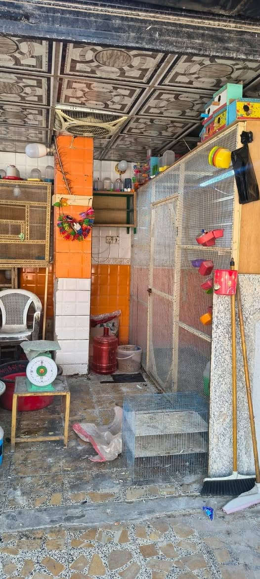 غراض مال جنباظ البيع تفاصيل بل فيديو ***********وتساب
