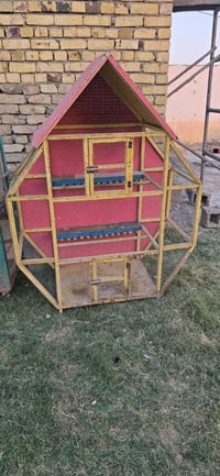 ٣ أقفاص • ٢ خشب ١ حديد • بلابل كوكتيل